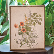 Coral Anemone & Dill Botanical Box Sign
