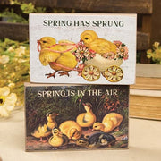 Spring Has Sprung Vintage Chick Block  (2 Count Assortment)