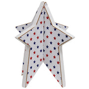 Dimensional Americana Star Flag Pick Holder - 7"H