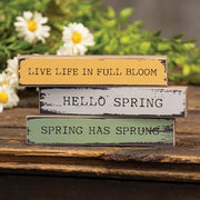 Life in Full Bloom Mini Stick  (3 Count Assortment)