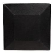 Spring Flower & Vine Square Plate  (2 Count Assortment)