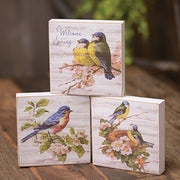 Welcome Spring Bluebird Square Block  (3 Count Assortment)