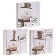 Snowy Word Tag Stitched Snowman Block  (3 Count Assortment)