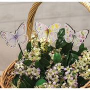 Floral Butterfly Poke  (3 Count Assortment)