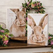 Happy Easter or Spring Watercolor Bunny Box Sign  (2 Count Assortment)