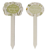 Gifting Plant Poke  (4 Count Assortment)