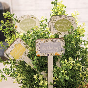 Gifting Plant Poke  (4 Count Assortment)