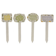 Gifting Plant Poke  (4 Count Assortment)