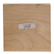 Santa Frog on Mushroom Block - 5" Sq  (2 Count Assortment)