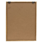 Vintage Scientific Mushroom Trio Framed Print