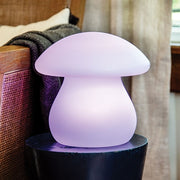 Multi-Function LED Mushroom Lamp