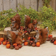 Resin Harvest Squirrel  (4 Count Assortment)