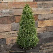 Glittered Long Needle Cone Tree - 17"H