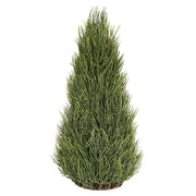 Glittered Long Needle Cone Tree - 17"H