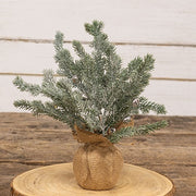 Snowy Silver Bells Pine Tree in Burlap Base - 12"H