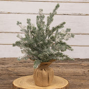 Snowy Silver Bells Pine Tree in Burlap Base - 16"H