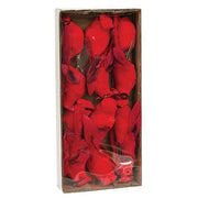 Mini Feather Cardinal Clip Ornament Must order in Multiples of 12 (Pack of 12)