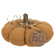 Mini Stuffed Mossy Top "Fall" Pumpkin  (3 Count Assortment)