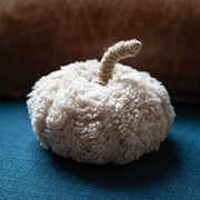 Ivory Sherpa Pumpkin with Jute Stem - Medium