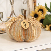 Stuffed Harvest Colors Blessed Sweater Pumpkin - 5"H