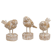 Carved Wood Look Resin Whitewashed Bird on Stump  (3 Count Assortment)