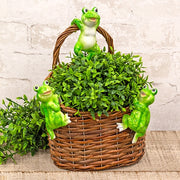 Resin Garden Frog Planter Hanger  (3 Count Assortment)