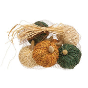 Braided Jute Pumpkins (Set of 6)