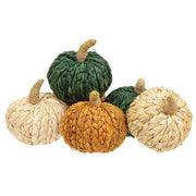 Braided Jute Pumpkins (Set of 6)