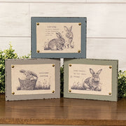 Spring Bunny Fabric Print Block  (3 Count Assortment)