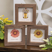 Daisy Framed Sign  (3 Count Assortment)