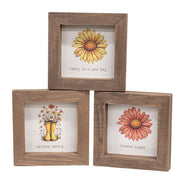 Daisy Framed Sign  (3 Count Assortment)