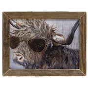 Cool Carl Framed Print - 12"x16"