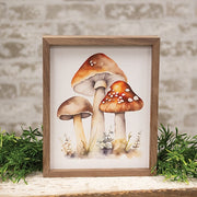 Mushroom Trio Framed Print