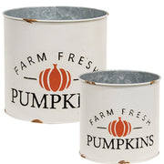 Distressed Metal Farm Fresh Pumpkins Buckets (Set of 2)