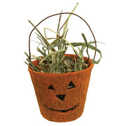 Jack O Lantern Planter with Prairie Grass - 2.25"H