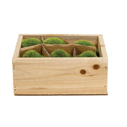 Resin Mossy Mushrooms With Wooden Crate (Set of 6)