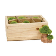 Resin Mossy Mushrooms With Wooden Crate (Set of 6)