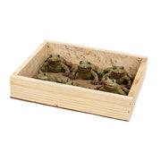 Distressed Resin Frogs With Wooden Crate (Set of 6)