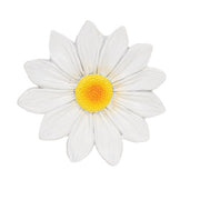 Resin Daisy Sitters (Set of 6)