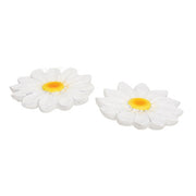 Resin Daisy Sitters (Set of 6)