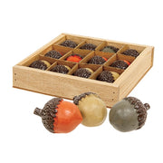 Resin Acorns in Crate (Set of 12)