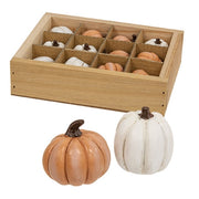 Mini Resin Pumpkins in Crate (Set of 12)