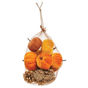 Pumpkins and Pinecones in Mesh Bag (Set of 16)