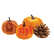 Pumpkins and Pinecones in Mesh Bag (Set of 16)
