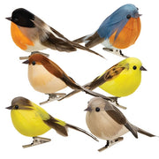 Feathered Spring Bird Clip  (6 Count Assortment)