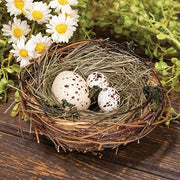 Speckled Egg Trio In Nest