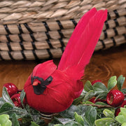 Small Feathered Cardinal Clip