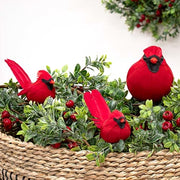 Small Feathered Cardinal Clip