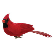 Red Feathered Cardinal Clip - 10"