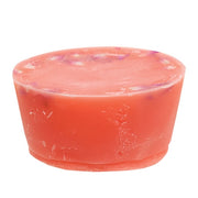 Santa's Cinnamon Botanical Wax Tart - 2 oz.